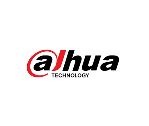 dahua